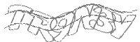 Check code