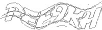 Check code